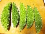 syuukaku1006.jpg 160��120 9K
