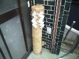 tedutuhanabi.jpg 160��120 9K